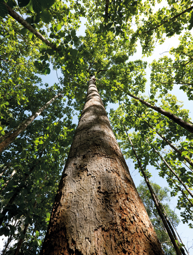 baum_web_home baum_web_home